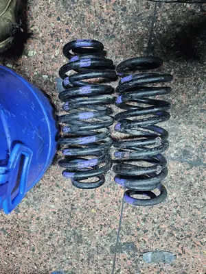 Probox Heany Duty Coil Springs