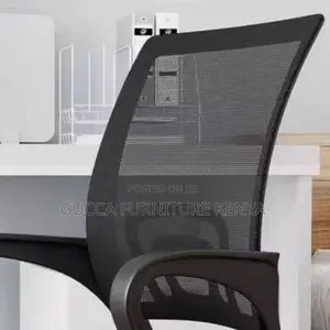 Office Chair:Clerical Chair With Portable Lumbar Support