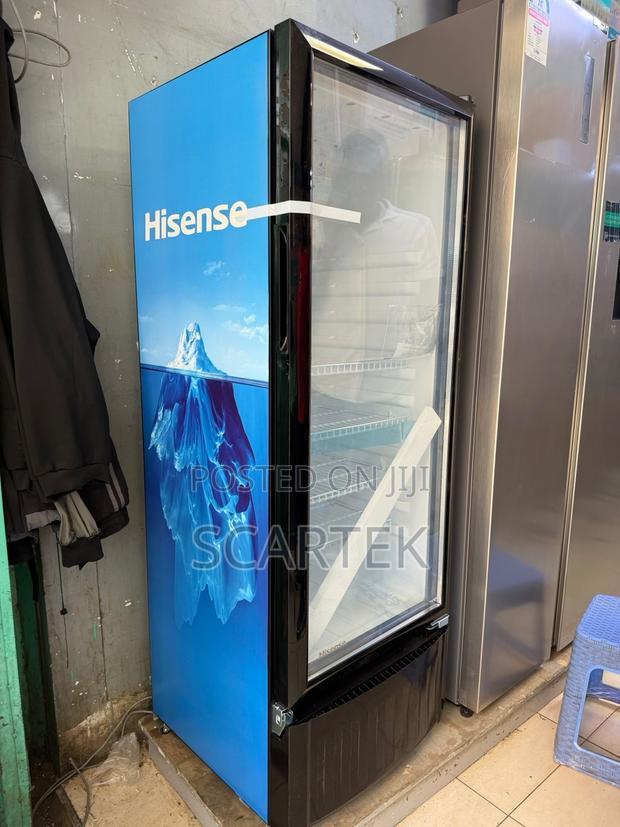Hisense Display Fridge Fl37fc (282)L - main view