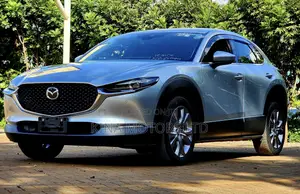 Mazda CX-30 2020 Silver