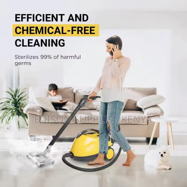 Steam Cleaner 2000w High Pressure Steam Wash Machine