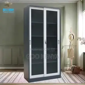 Cabinet ; Full-Height Mirror Shallow Metal Class Cabinet