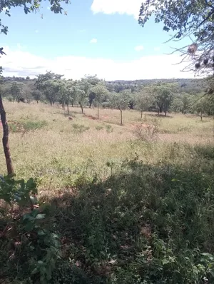 Masii-Kaingutu 6 Acres Red Soil.
