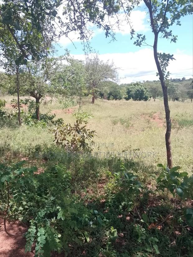 Masii-Kaingutu 6 Acres Red Soil. - thumbnail 2