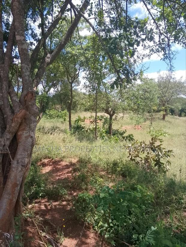 Masii-Kaingutu 6 Acres Red Soil. - thumbnail 3