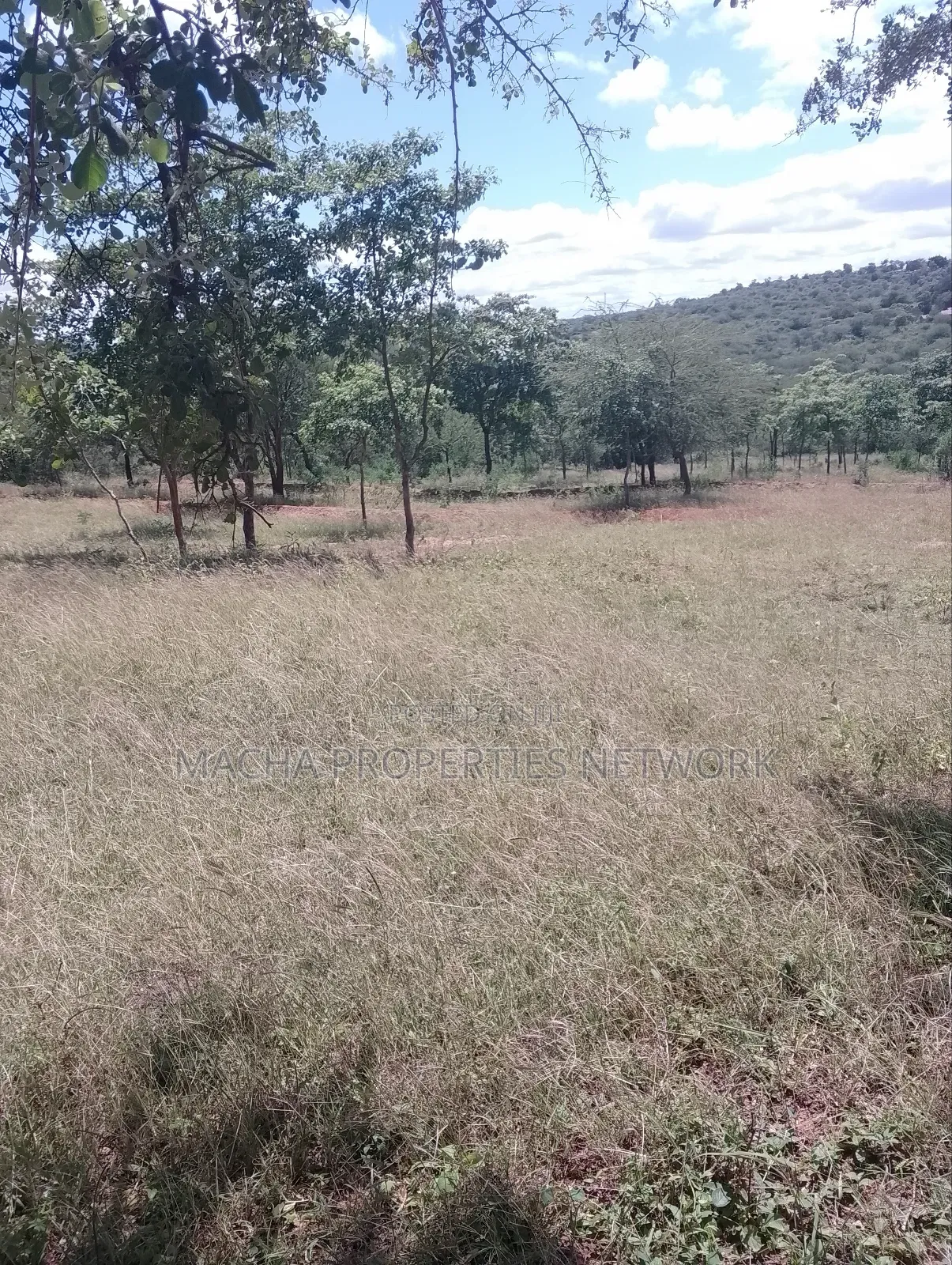 Masii-Kaingutu 6 Acres Red Soil.