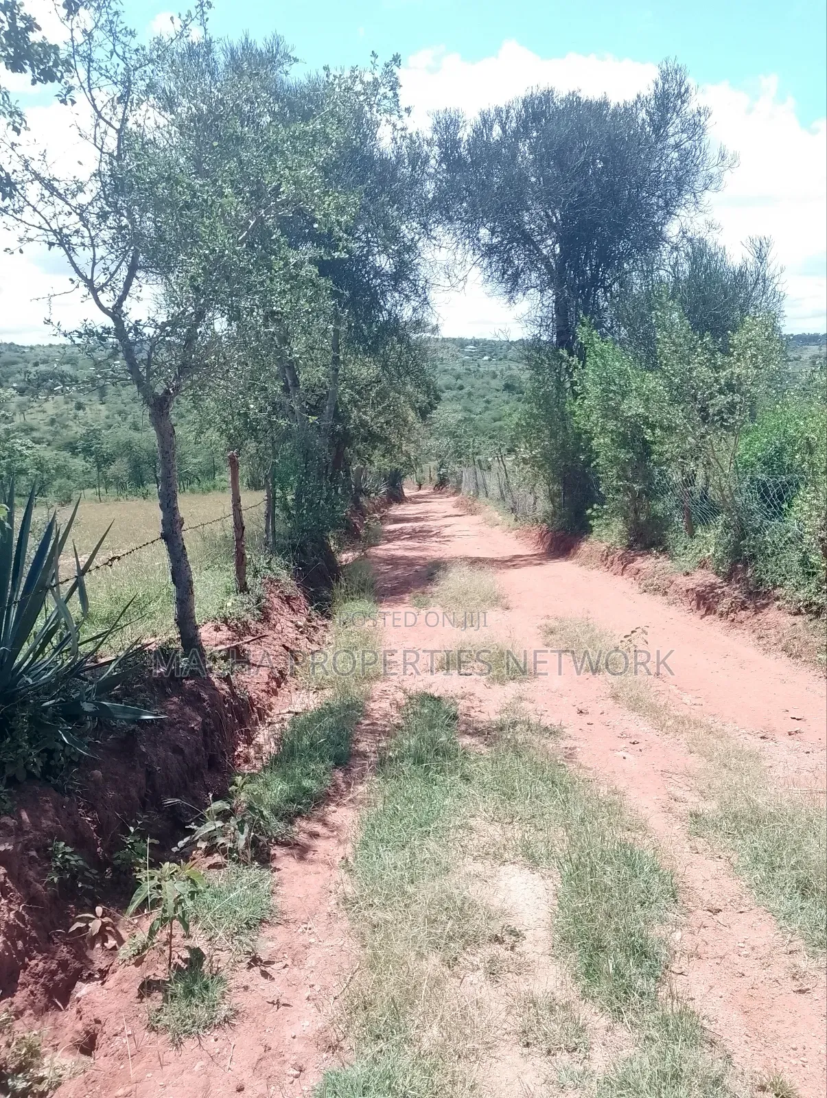 Masii-Kaingutu 6 Acres Red Soil.
