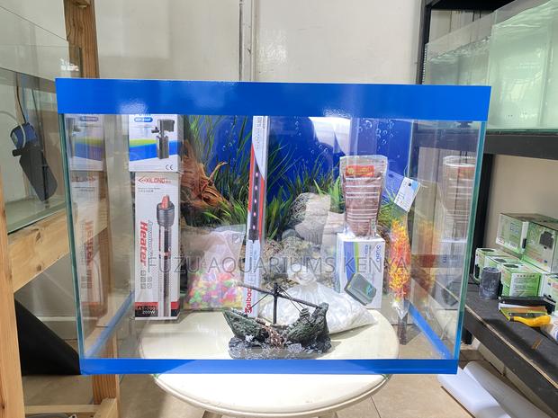 Elegant Home Aquarium – A Living Masterpiece