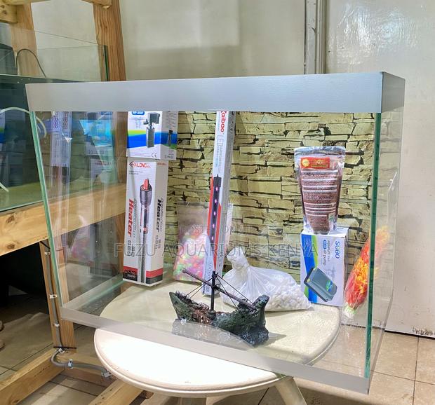 Colorful Aquarium Setup – Perfect for Any Room - main view