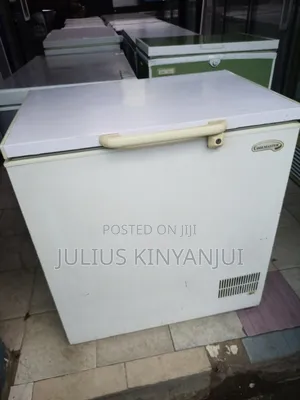 Top Loading 300l Deep Freezer