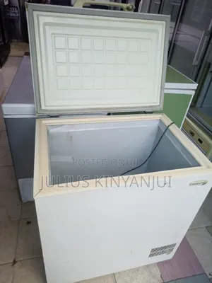 Top Loading 300l Deep Freezer