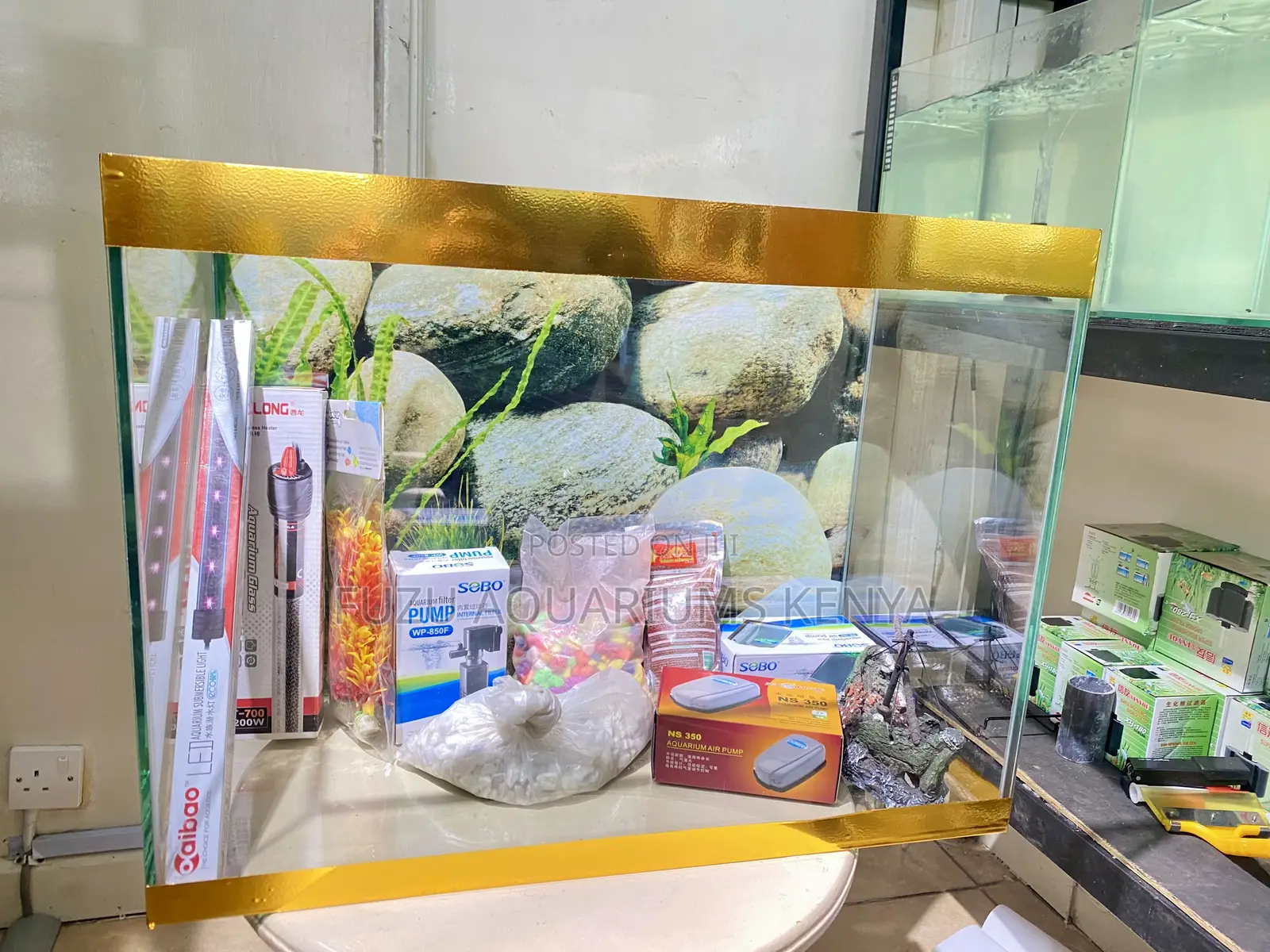 Fully Equipped Aquarium – Add Life to Your Space