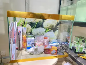 Fully Equipped Aquarium – Add Life to Your Space