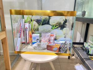 Aquarium With Fish, Plants, Food Accessories - thumbnail 2