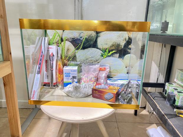 Aquarium With Fish, Plants, Food Accessories - main view