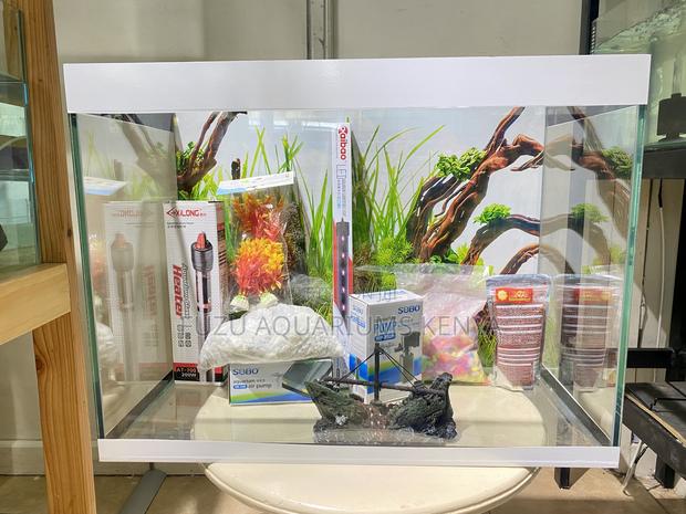 Chic Corner Aquarium With Stunning Led Effects - main view