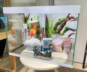 Turn Your Countertop Into Art With This Aquarium