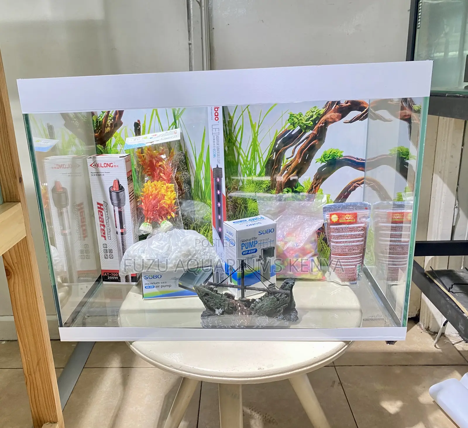 All-in-One Aquarium – Just Add Water!