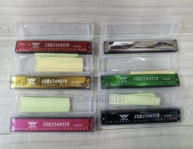 24-Holes Key C Harmonica for Beginners - main view