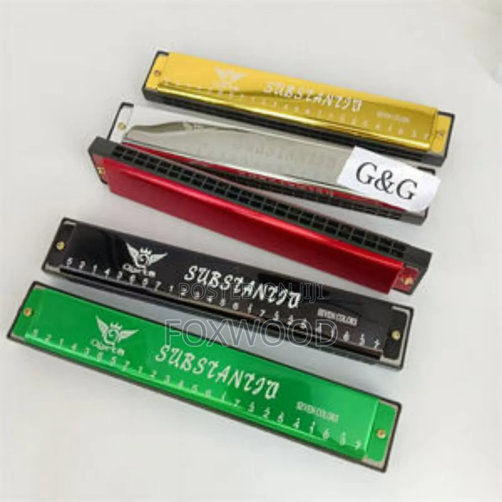 24-Holes Key C Harmonica for Beginners