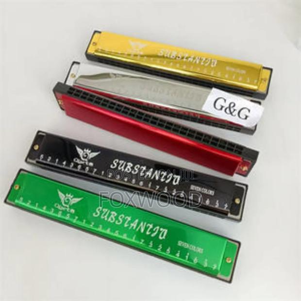 24-Holes Key C Harmonica for Beginners - thumbnail 6