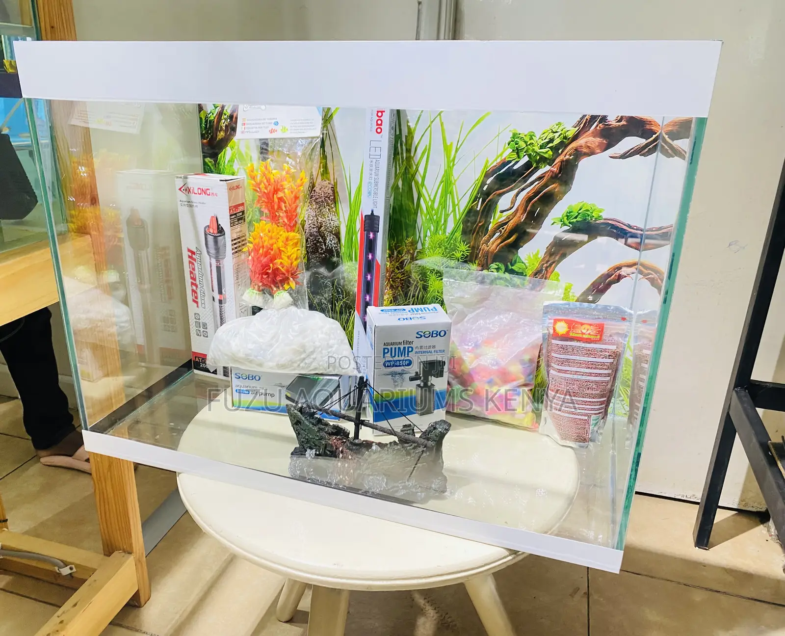 Beautiful Home Aquarium With Mixed Fish
