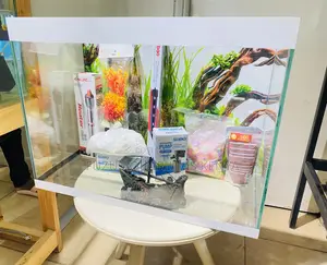 Beautiful Home Aquarium With Mixed Fish