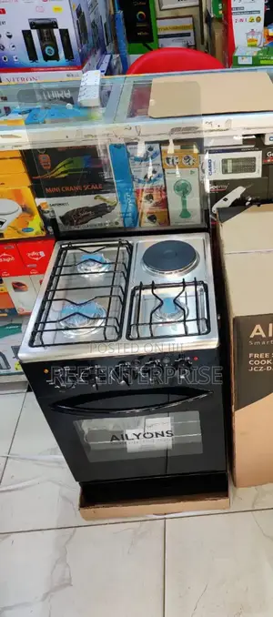 Efficient Standing Cooker 3g+1e 50cmx55cm Ailyons