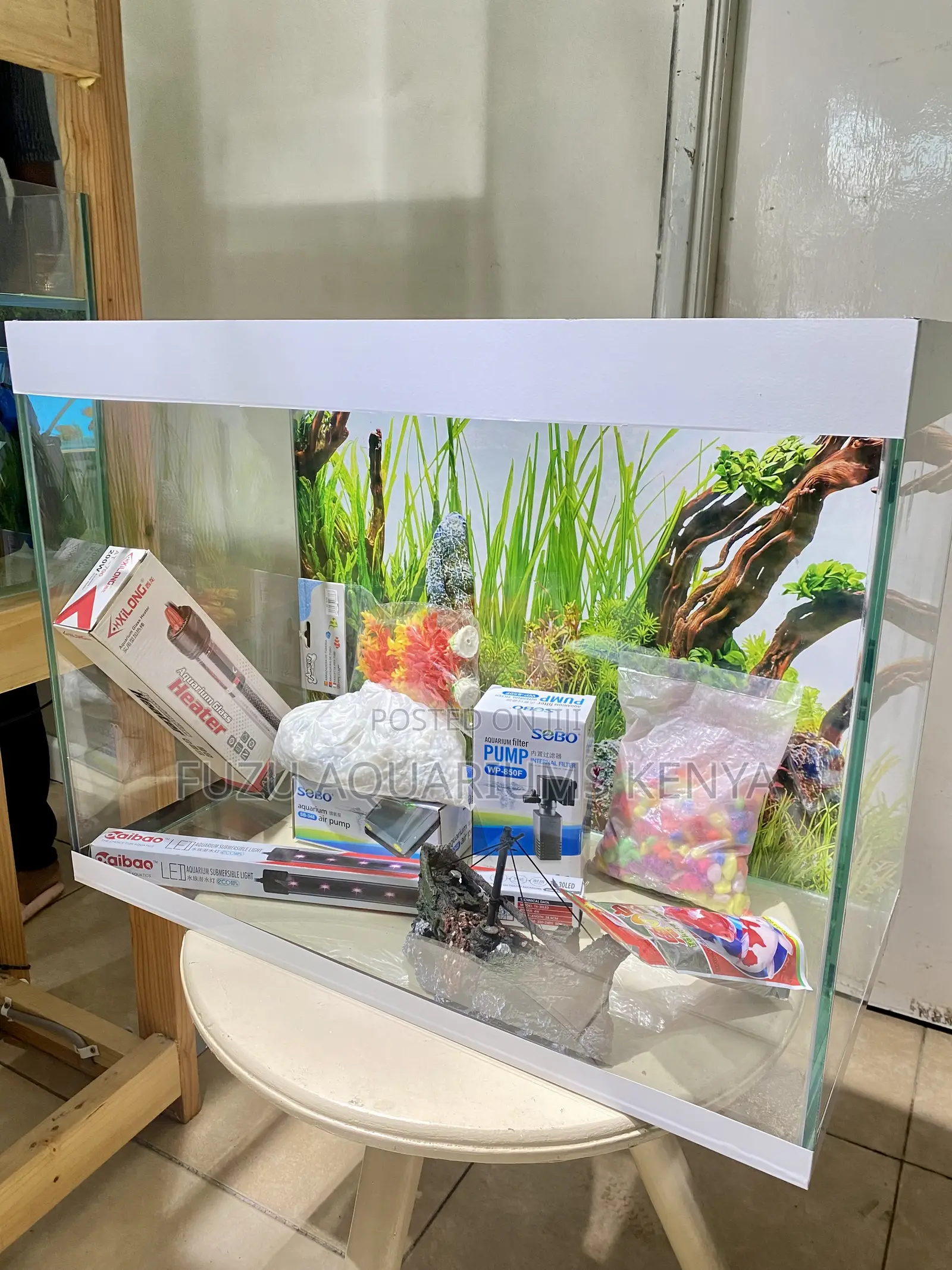 Serene Aquarium for Office or Living Room