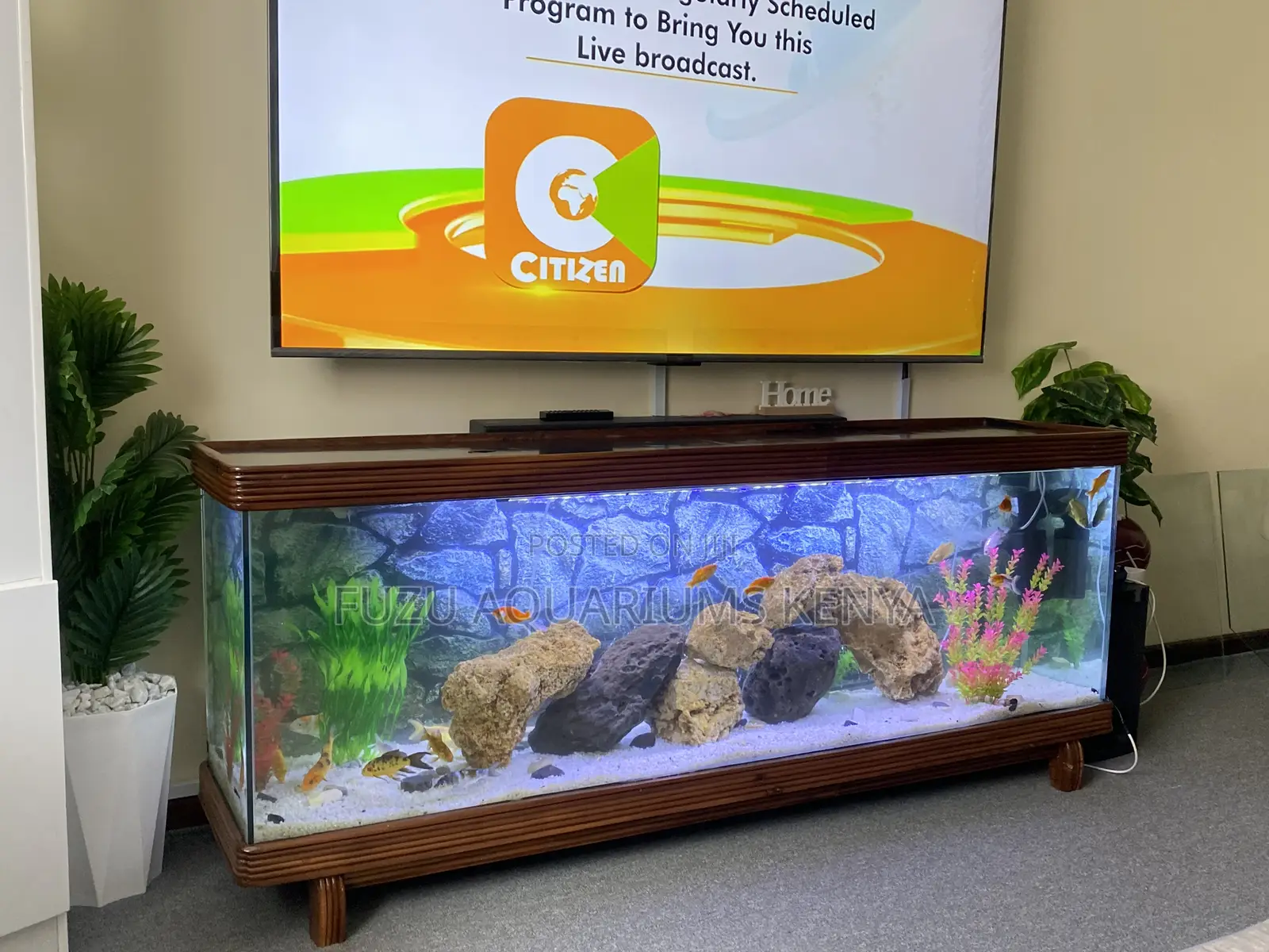 2-in-1 Tv Stand Aquarium – Style Meets Serenity