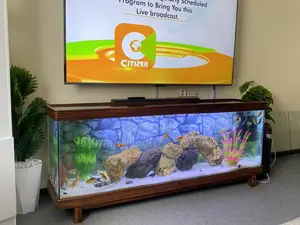 2-in-1 Tv Stand Aquarium – Style Meets Serenity