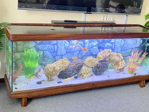 Modern Tv Stand With Built-in Aquarium Display