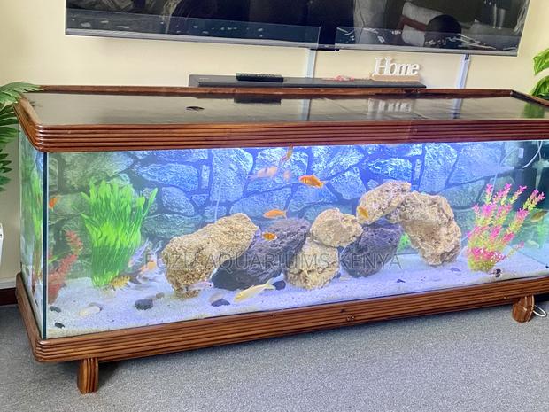 Modern Tv Stand With Built-in Aquarium Display