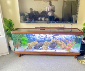 Functional Tv Stand Aquarium – Beauty Storage - thumbnail 2
