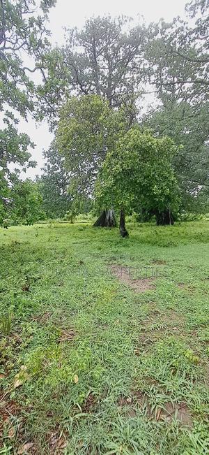 For Sele Quater/Half Acre Plots Vipingo - thumbnail 2