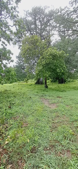For Sele Quater/Half Acre Plots Vipingo