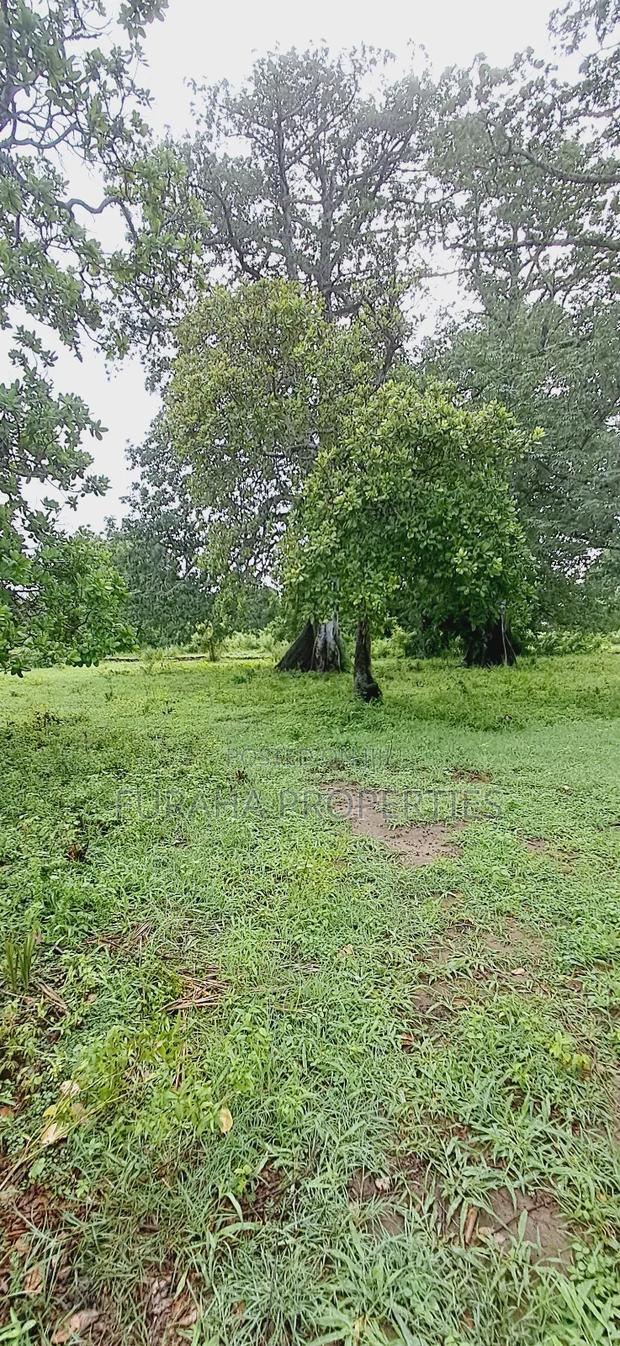 For Sele Quater/Half Acre Plots Vipingo - main view