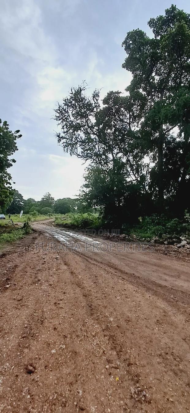 For Sele Quater/Half Acre Plots Vipingo - thumbnail 3