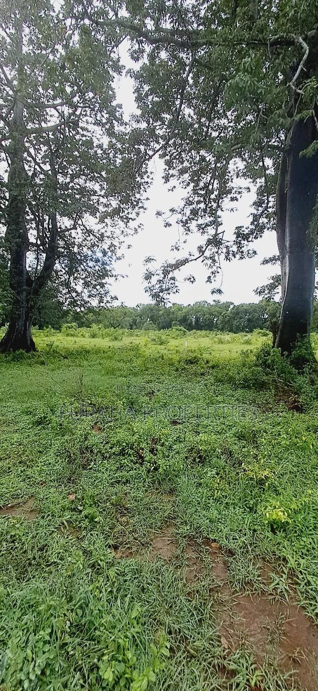 For Sele Quater/Half Acre Plots Vipingo - thumbnail 4