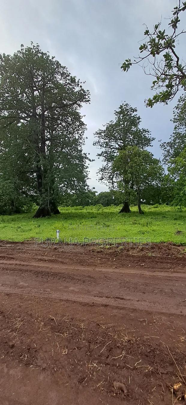 For Sele Quater/Half Acre Plots Vipingo - thumbnail 7