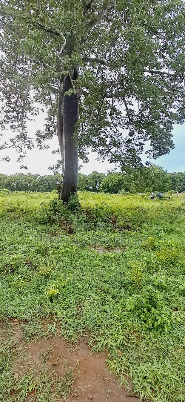 For Sele Quater/Half Acre Plots Vipingo - thumbnail 9