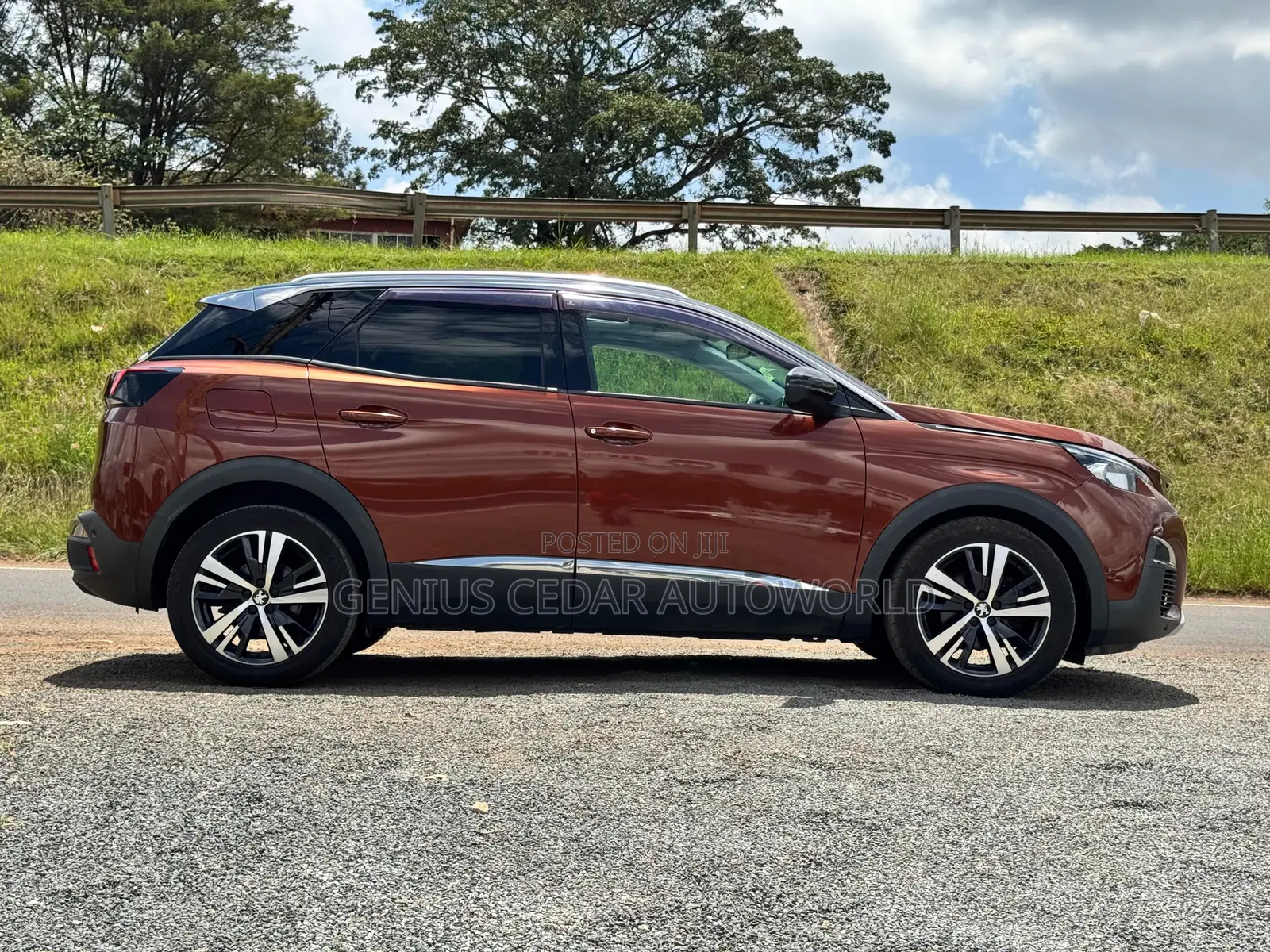Peugeot 3008 2018 Brown