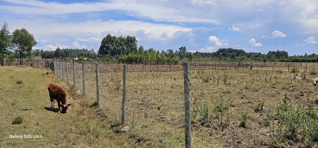 Prime Plot for Sale in Royalton Annex Eldoret - thumbnail 3