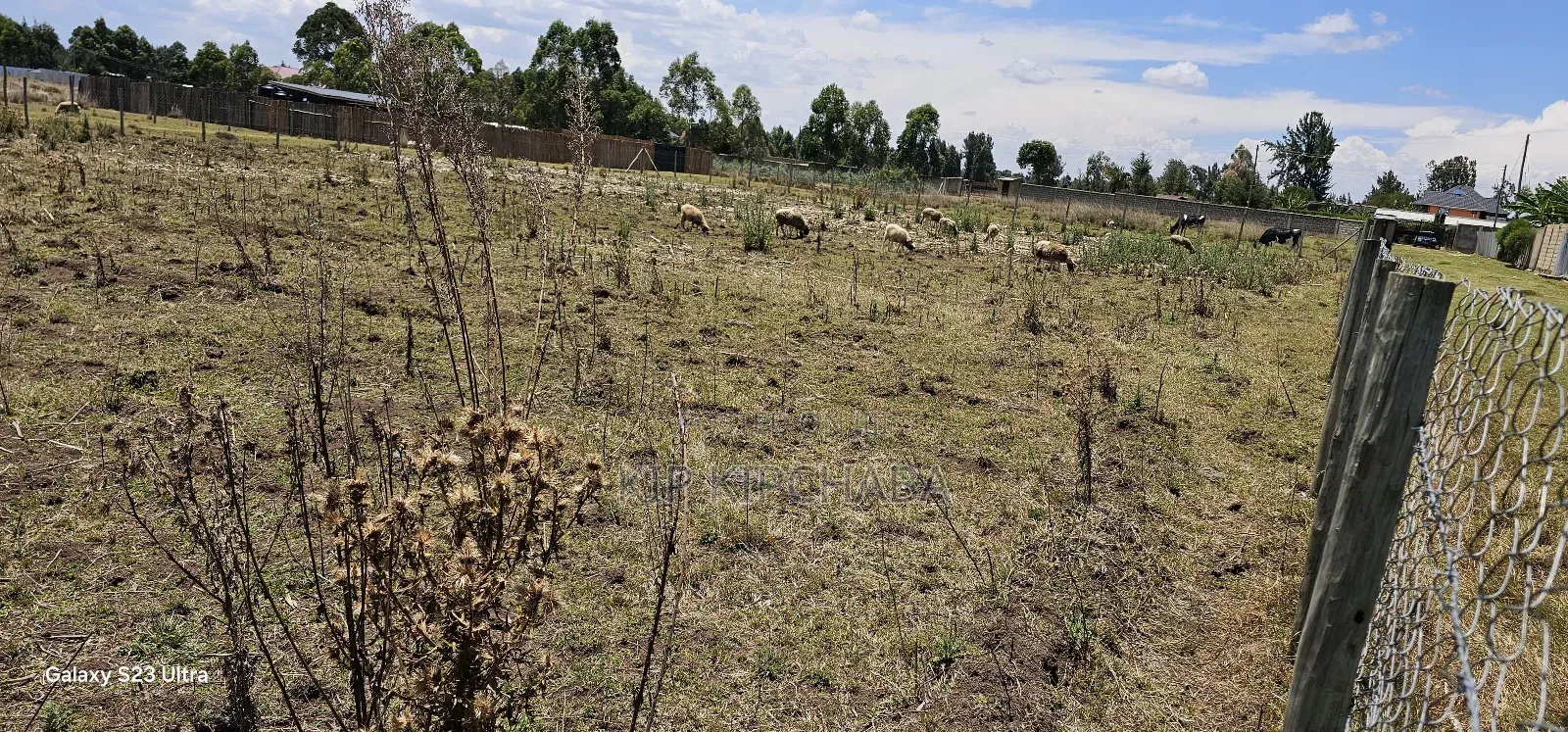 Prime Plot for Sale in Royalton Annex Eldoret