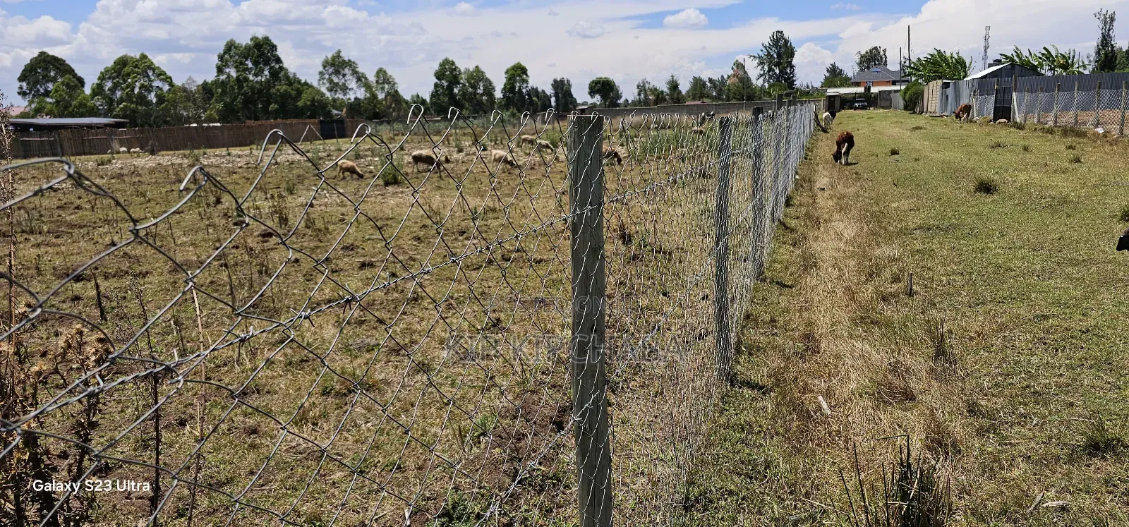 Prime Plot for Sale in Royalton Annex Eldoret