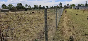 Prime Plot for Sale in Royalton Annex Eldoret