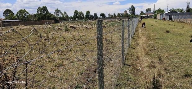 Prime Plot for Sale in Royalton Annex Eldoret - thumbnail 5