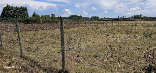 Prime Plot for Sale in Royalton Annex Eldoret - thumbnail 6