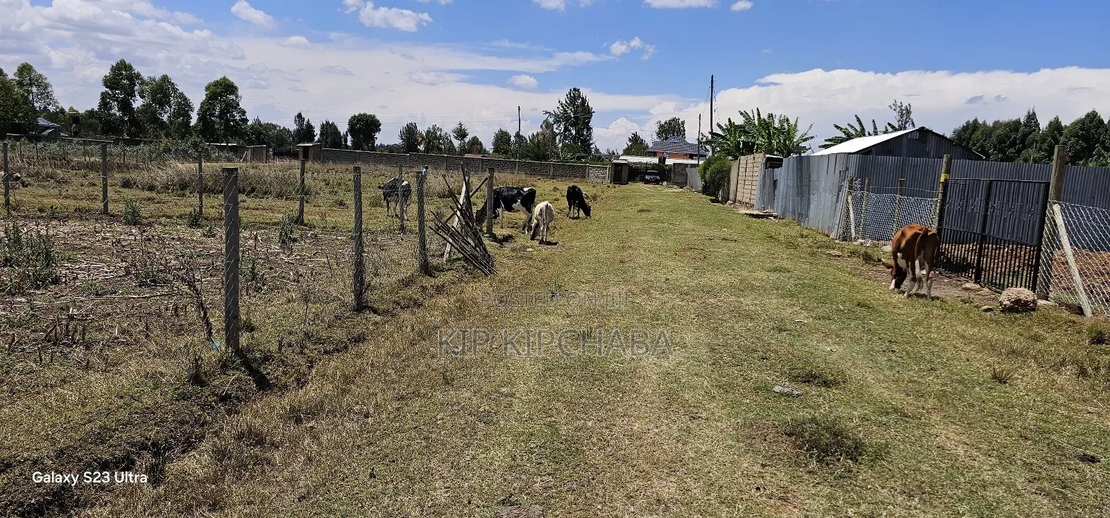Prime Plot for Sale in Royalton Annex Eldoret