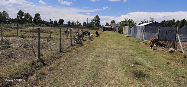 Prime Plot for Sale in Royalton Annex Eldoret - thumbnail 8